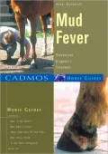 Mud Fever: Prevention, Diagnosis & Treatment
