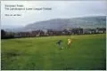 Hans van der Meer: European Fields The Landscape of Lower League Football