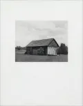 Forest and Fields : Neighbors