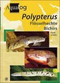 Aqualog: Polypterus: Flosselhechte Bichirs
