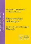 Phenomenology And Analysis Essays On Central European Philosophy