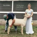 Till the Cows Come Home