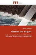 Gestion Des Risques by Narcisse Soglohoun — book cover