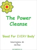 The Power Cleanse Workbook
