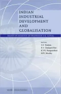 Indian Industrial Development and Globalisation: Essays in Honour of Professor S. K. Goyal