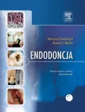 Endodoncja