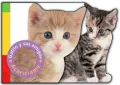 Gatito y sus amigos /  Kitty and Friends