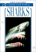 Sharks