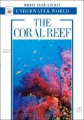 The Coral Reef: White Star Guides Underwater World