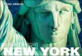 New York Flying High