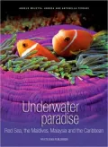 Underwater Paradise