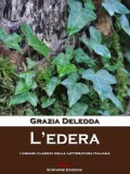 L'edera