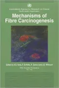 Mechanisms of Fibre Carcinogenesis