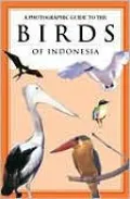 Birds of Indonesia