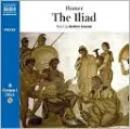 The Iliad (Ian Johnston Translation)