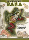 Al descubierto una rana / Uncover a Frog