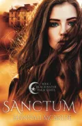 Book cover of Sanctum